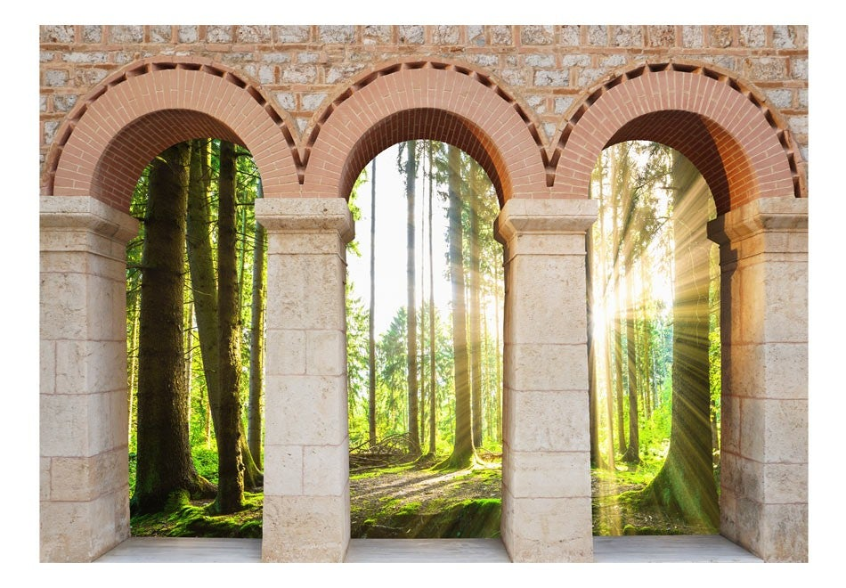 Wall Mural - Forest Arcades