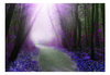 Load image into Gallery viewer, Wall Mural - Purple Road