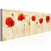 Canvas Painting - Tears of Poppies
