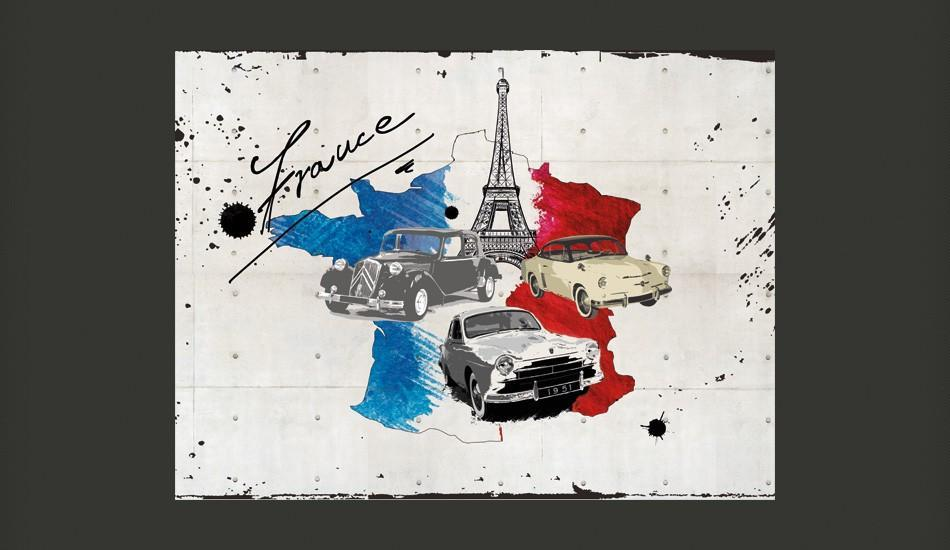 Wallpaper - Admirer of cars (France)