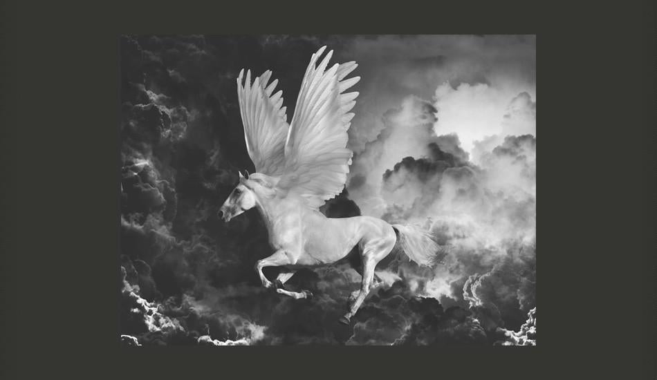 Wallpaper - Pegasus sulla strada per l'Olimpo (Fantasy)