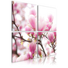 Canvas Painting - Blooming Magnolia  Bush