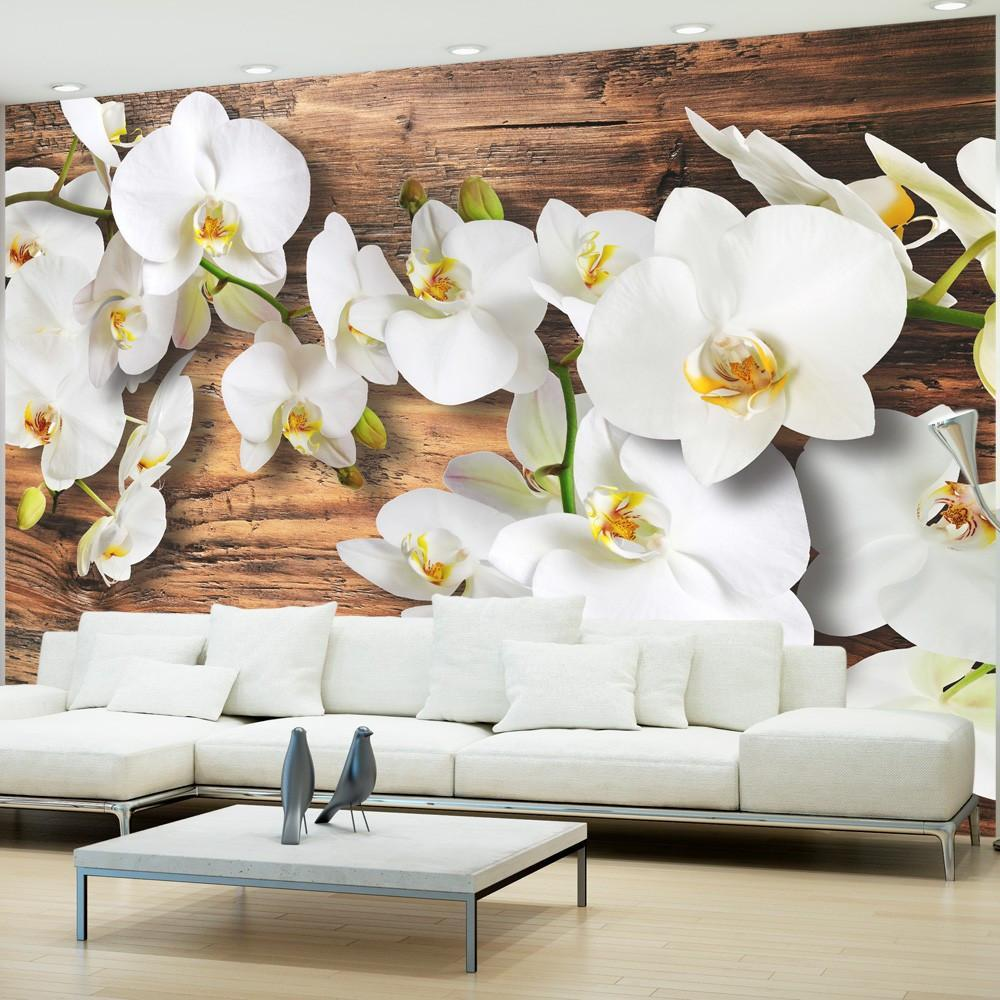 Wall Mural - Callous Orchids II