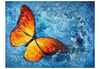 Animal Wallpaper - Fiery Butterfly